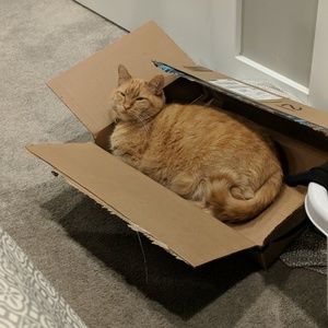 Meet your Posher, Ariana